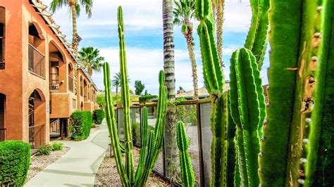 Holiday Inn Club Vacations Scottsdale Resort completes $36 million in renovations - Phoenix ...