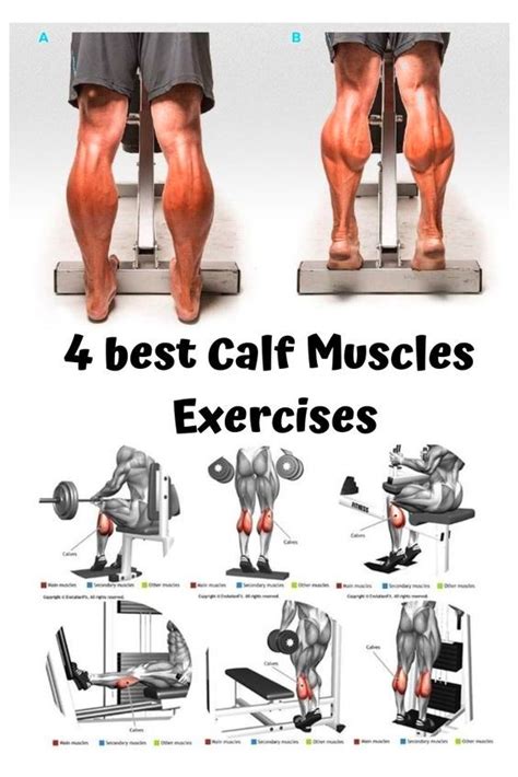 How To Workout Your Calves: Effective Exercises For Stronger Lower Legs