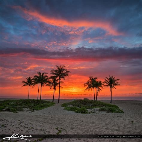 Explosive Sunrise Colors Over Cocnut Trees at Beach | HDR Photography by Captain Kimo