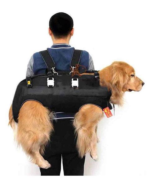 8 Practical Dog Carrier Backpacks for Pups Over 25 lbs - Hey, Djangles ...