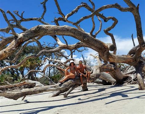 Your Guide to Visiting Driftwood Beach on Jekyll Island | Lighthouse Vacations