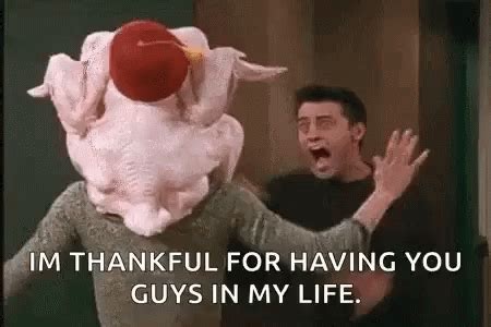 Thanksgiving Turkey GIF - Thanksgiving Turkey Friends - GIF 탐색 및 공유