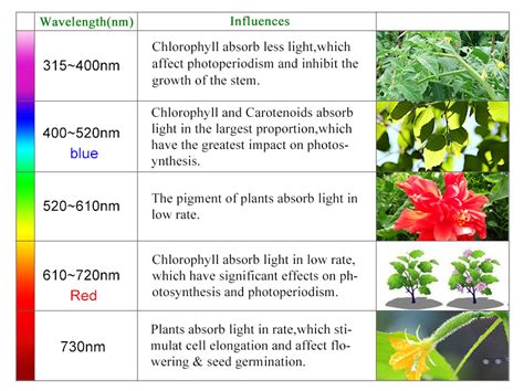 LED Grow Lights Reviews | Seming Lighting