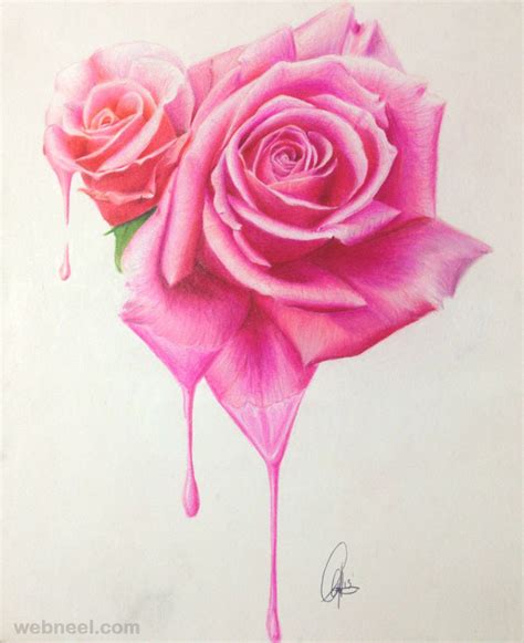 Flower Drawings Rose 1