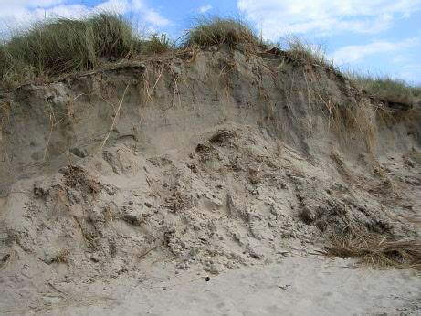 Sand Dunes | The Geography Site