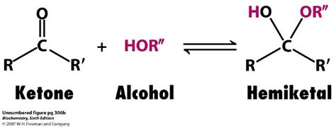 When sugars cyclize, they typically form furanose or pyranose structures. These are molecules ...