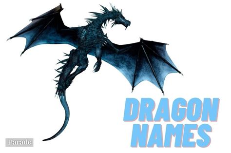 Fantasy Creatures Dragons