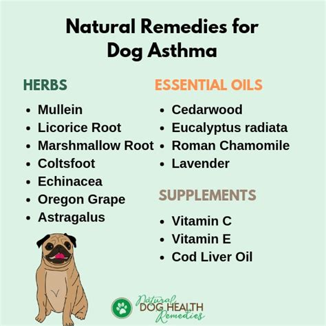 Natural Dog Asthma Remedies To Help A Dog Breathe Better