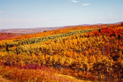 Best Fall Foliage Destinations Around The World • Dalton's Destinations