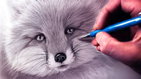 How to Draw a Fox in 2023 | Fox drawing tutorial, Pencil drawings of ...