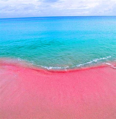 The Caribbean's Most Colourful Beaches — beachbox | Pink sand beach, Pink sand, Pink beach