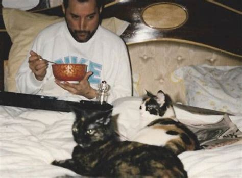 13 Rare Photos Of Freddie Mercury And His Cats