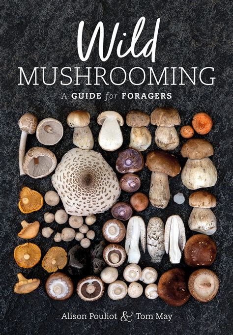 What Are The Best Books About Australian Fungi? – Nature Books Australia