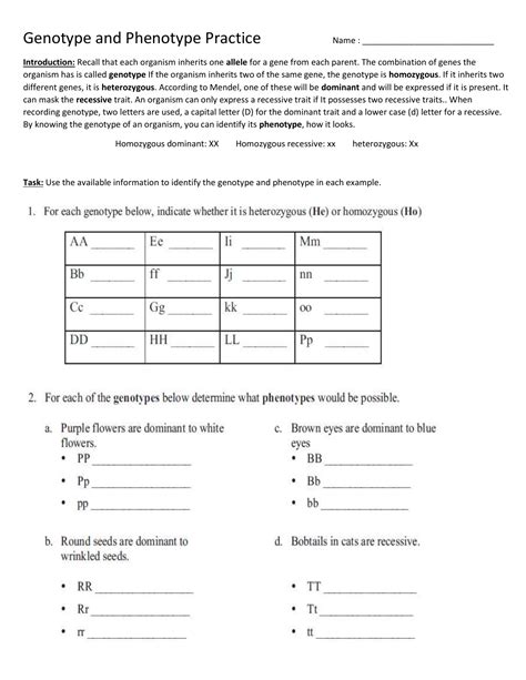 Genotypes And Phenotypes Worksheet