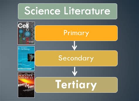 Literature Review Topics Biology – Quick Navigation