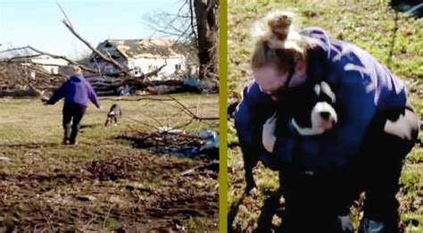 Kentucky Woman Reunites With Her Dog After Losing Her In Tornado