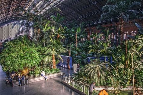 Botanical Garden Inside Atocha Train Station, Madrid | Amusing Planet