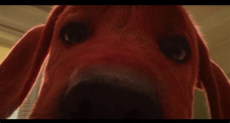 Watch the First Full Trailer for ‘Clifford the Big Red Dog’ | Complex