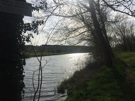 the sun shines brightly through some trees near a body of water that is ...