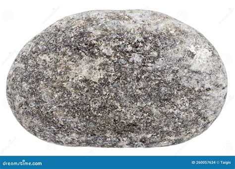 Top View of Single Gray Pebble Stock Photo - Image of cracked, pebble: 260057634