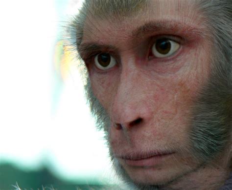 Pic of the Day: Ridiculously Believable Monkey Man