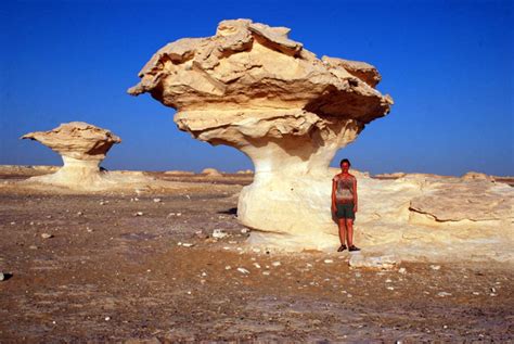 White Desert National Park, Day 284 - Roderick Phillips