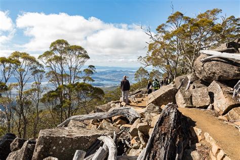 Wellington Park to reopen on Monday 11 May - City of Hobart, Tasmania ...