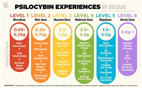 Microdosing Psilocybin & Widespread Dosage Defined | Future of Mushrooms