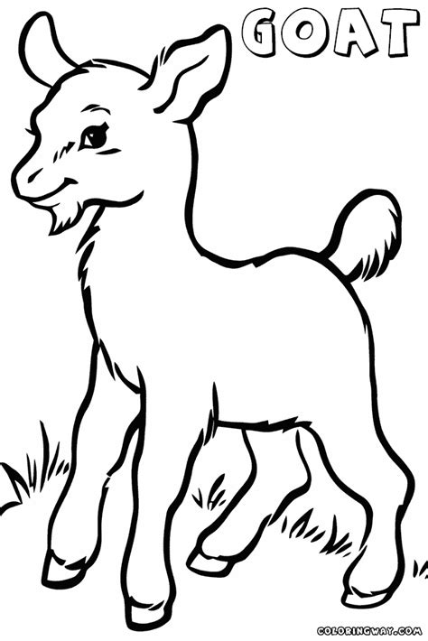 Goat Drawing Pictures at GetDrawings | Free download