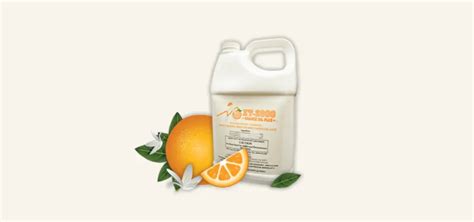 Orange Oil Termite Treatment Reviews -GreenRatControl