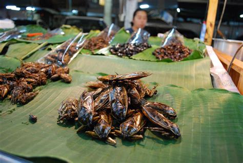 Bugging Out: 5 Countries that Treat Bugs like Delicacies