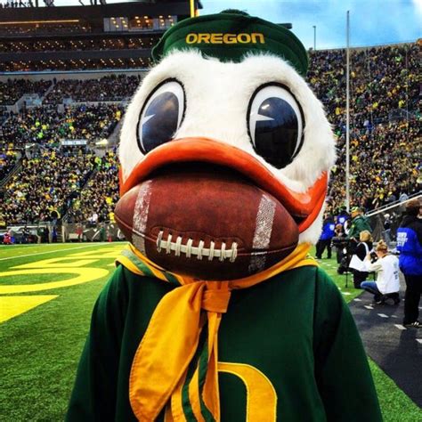 874 best I LOVE MY DUCKS!!! images on Pinterest | Colleges, Oregon ducks and Oregon ducks football