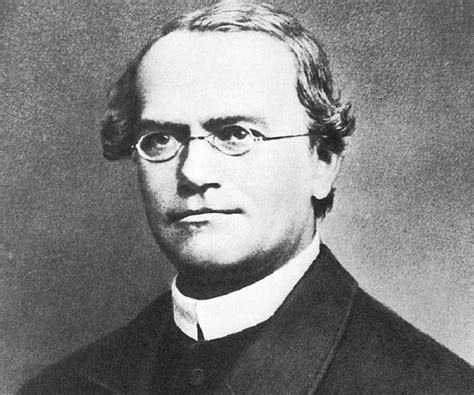 Gregor Mendel Biography - Facts, Childhood, Family Life & Achievements