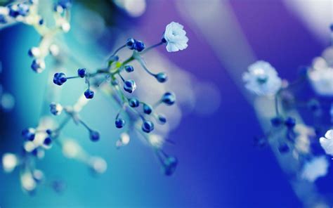 Pastel Blue Flowers Wallpapers - Top Free Pastel Blue Flowers ...