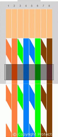 Rj45 568B Wiring Diagram / Introduction To Rj45 The Engineering Projects : Rj45 wiring diagram ...