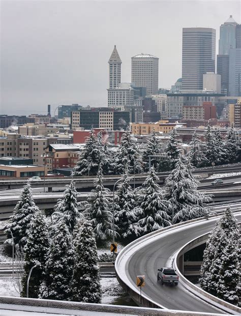Seattle’s Sense of Snow | Seattle Met
