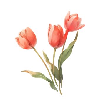 Hand Drawn Teachers Day Tulip Elements, Teachers Day, Flowers, Tulip ...