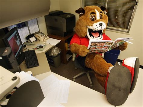 Timeout - Fresno State mascot | Timeout, the Fresno State Bu… | Flickr