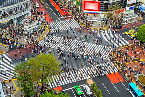 Shibuya Kreuzung - Bilder und Stockfotos - iStock