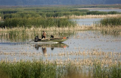 Showcasing the Michigan DNR: Wetlands a vital resource for Michigan’s wildlife, environment ...