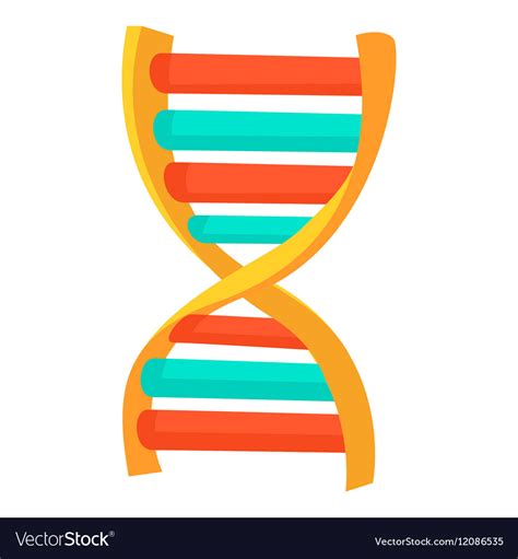 DNA strand icon cartoon style Royalty Free Vector Image