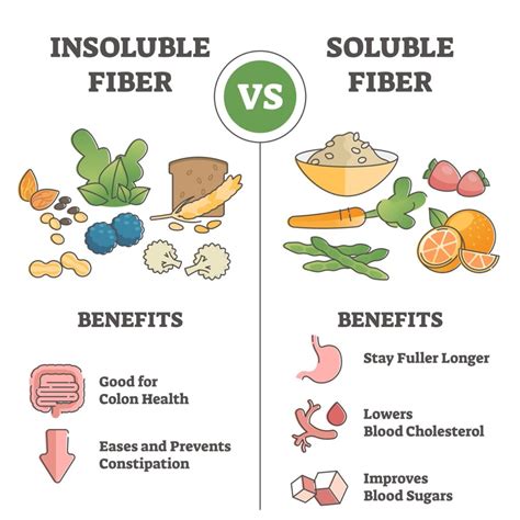 Importance of Consuming Dietary Fiber