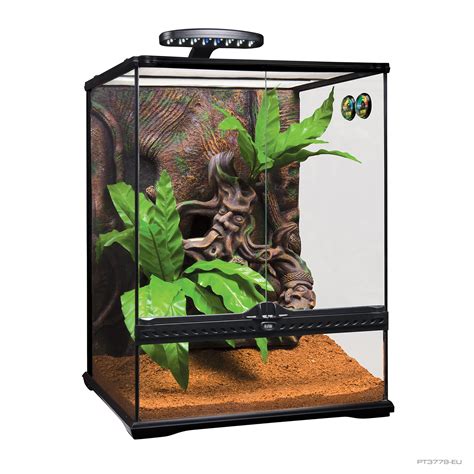 Crested Gecko Terrarium Large