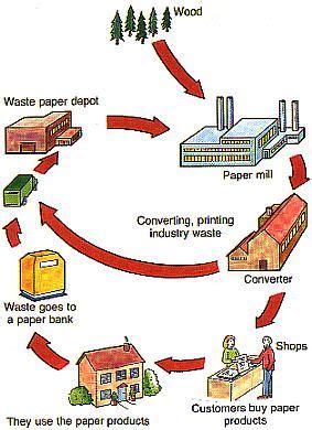 The Paper Recycling Process