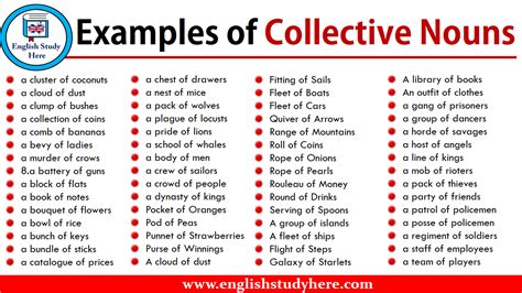 http://englishstudyhere.com/nouns/examples-of-collective-nouns/ | Collective nouns, Nouns ...