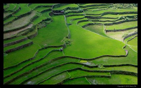 Banaue Philippines | Banaue rice terraces, Banaue, Rice terraces