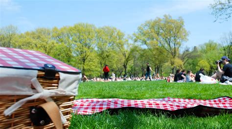 Best Picnic Spots in The Bay