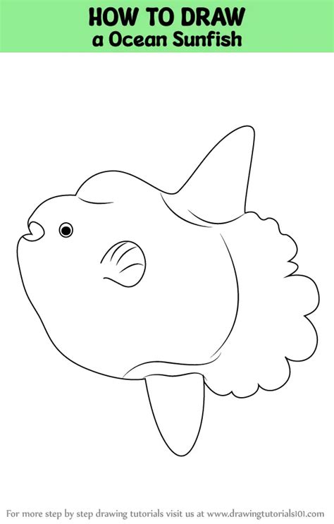 How to Draw a Ocean Sunfish (Fishes) Step by Step | DrawingTutorials101.com