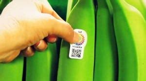 Ecuador pins tourism hope on its banana QR code stickers