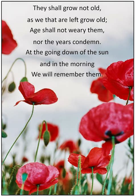 Every Bed of Roses: ANZAC Day - an Ode to the Fallen